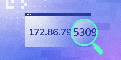 Як дізнатися свою IP-адресу: приватна та публічна IP на Windows, macOS, Android і iPhone